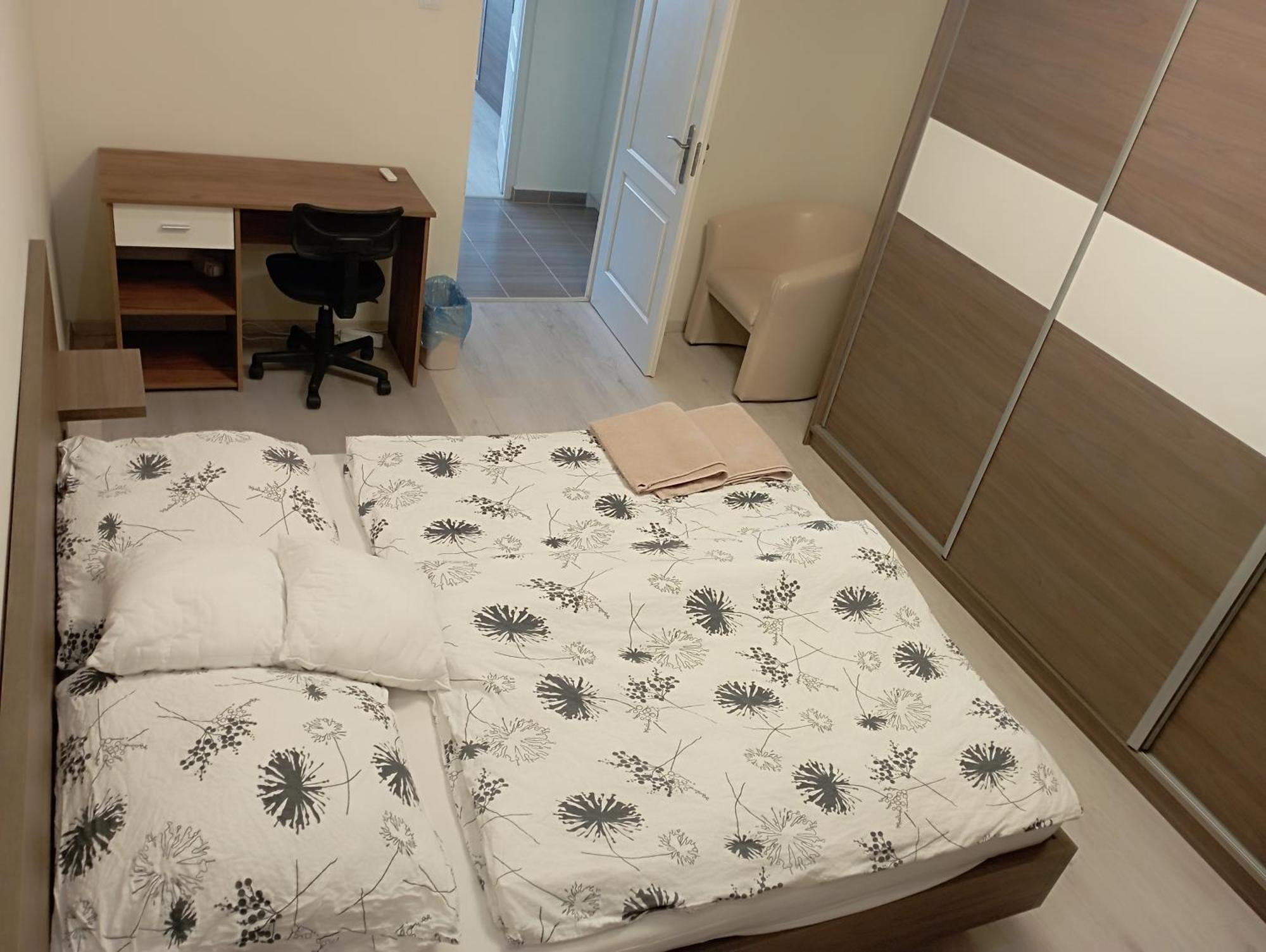 Thaly 5/1 Apartment Debrecen Bagian luar foto